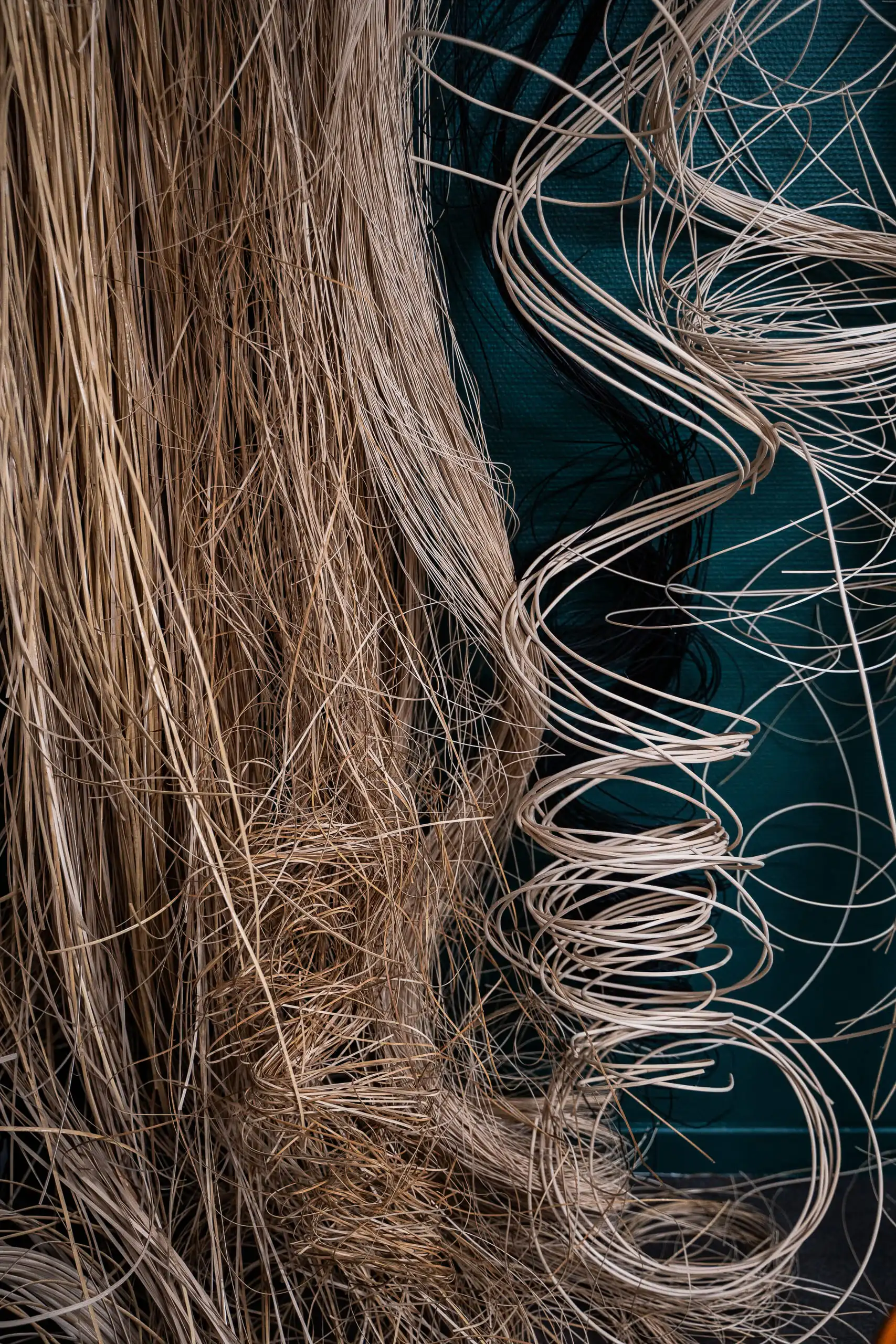 Photo de la canne à l'état brut dans l'atelier lillois d'Inès. Phot de Nathalie Rodriguez